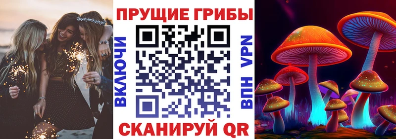 Псилоцибиновые грибы прущие грибы  Купить закладки  Приволжск 