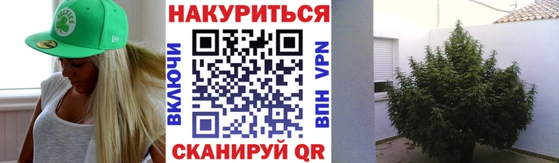 Купить  Приволжск  Каннабис AK-47 